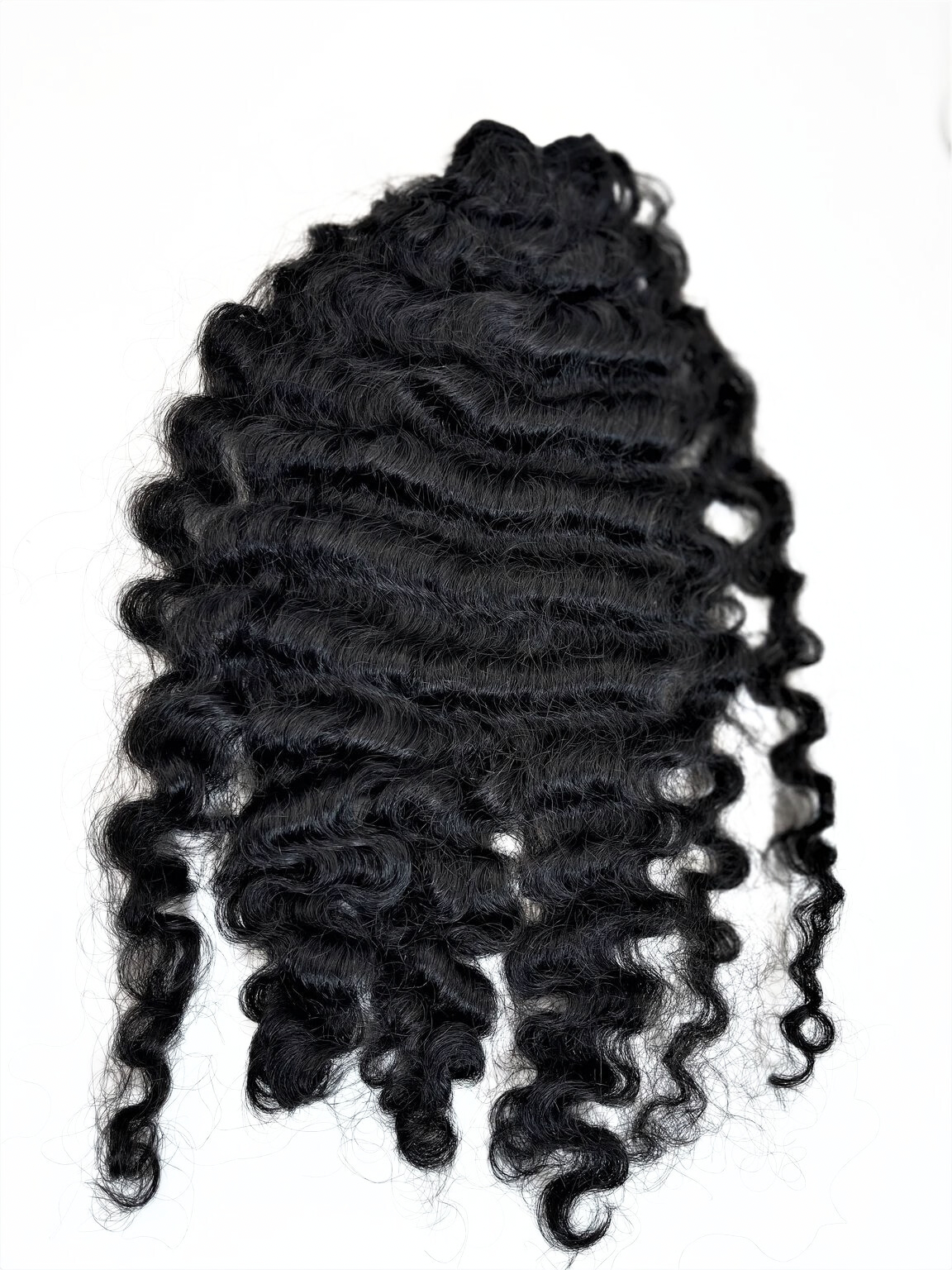 Raw Burmese Curly ( Pre Order)